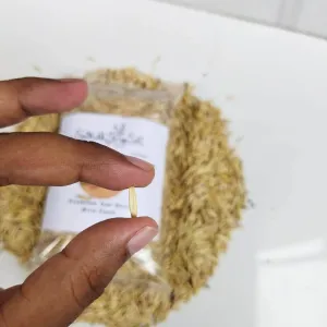 Best Quality Oat Seed Bird Food