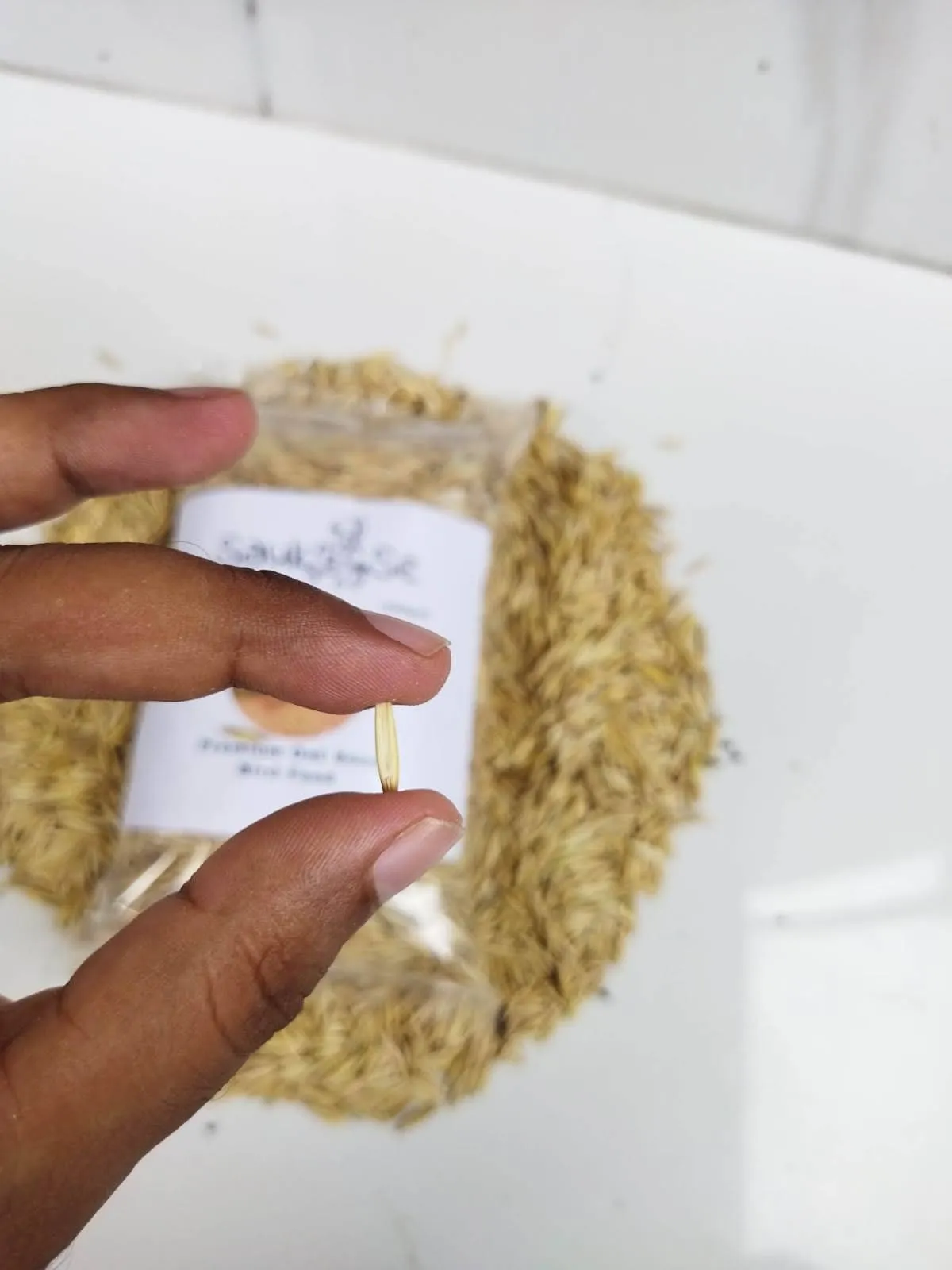 Premium Oat Seed Bird Food