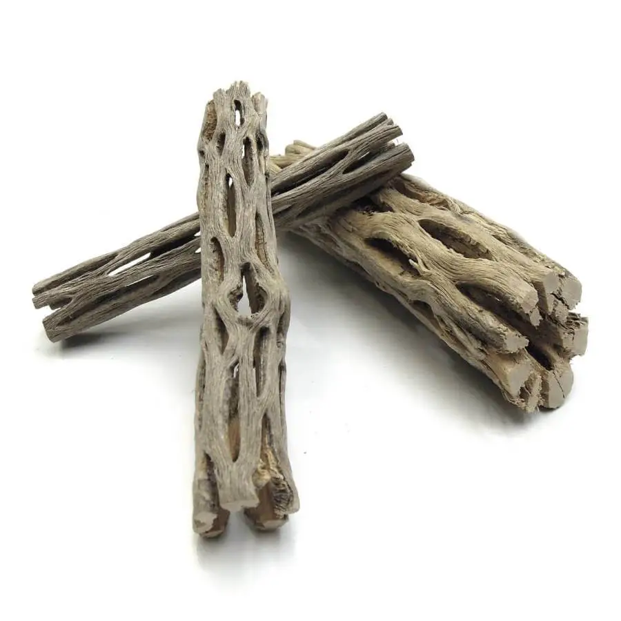 Natural Cholla Wood